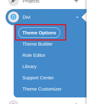theme options